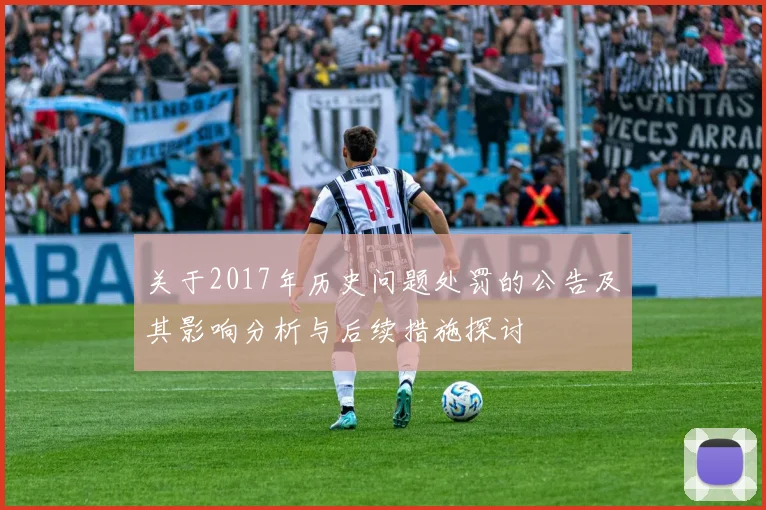 关于2017年历史问题处罚的公告及其影响分析与后续措施探讨