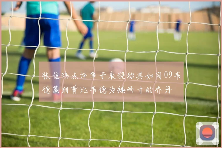 张佳玮点评华子表现称其如同09韦德莱利曾比韦德为矮两寸的乔丹