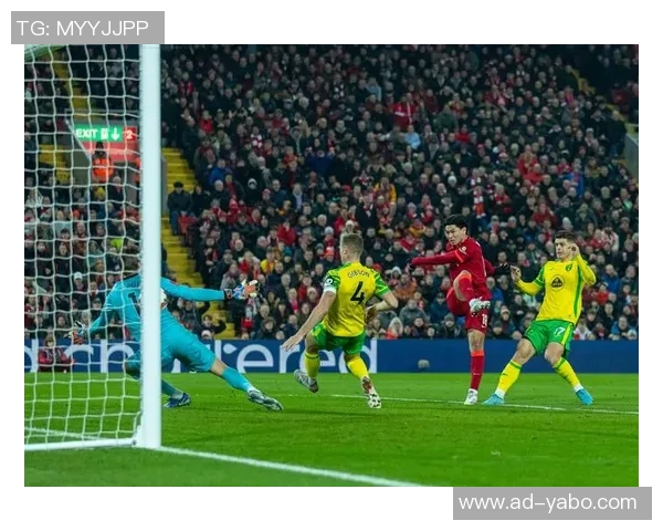 海文坚定立场希望为英格兰出战世界杯不考虑转投加纳